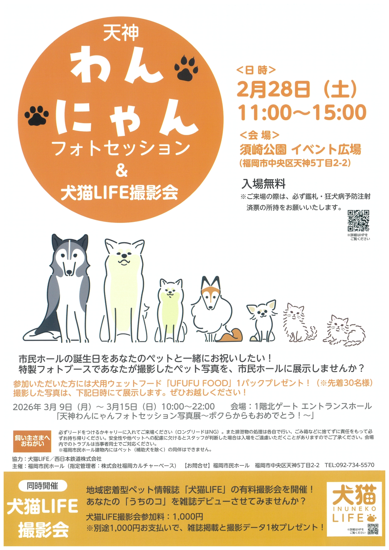 天神わんにゃんフォトセッション＆犬猫LIFE撮影会